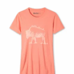 Brand new 🎁 Stio Women's Bison Perch Tee ⭐
